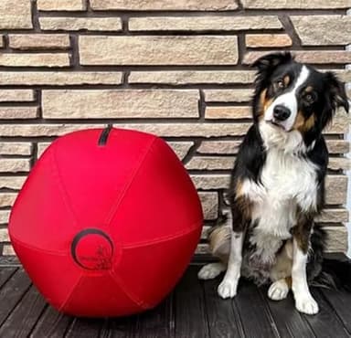 CollieBall - Herding Ball for Dogs 18″ – Inflatable, Anti-Burst, Dog Herding Ball for Australian Shepherds, Corgis, Collies, and Cattle Dogs, Durable Quality Dog Gift for Large Dogs