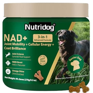 Nutridog NMN Supplement for Dogs NAD+ Booster - Anti-Aging & Longevity Soft Chews for Senior Dogs with Resveratrol, CoQ10, Glucosamine & Omega-3-3-in-1 Cellular Energy, Joint & Skin Support