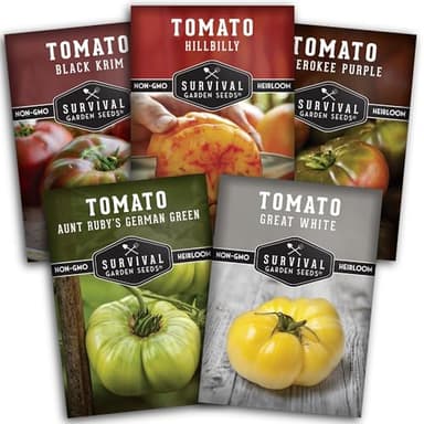 Colorful Heirloom Tomato Seeds – 5 Variety Pack with Rare Non-GMO Tomatoes for Planting | Black Krim, Cherokee Purple, Hillbilly, Aunt Ruby’s Green, Great White - Survival Garden Seeds