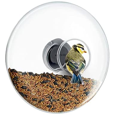 Eva Solo - Window Bird Feeder - (Large)