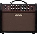 Boss Acoustic Singer Live LT 60-watt Bi-amp Acoustic Combo