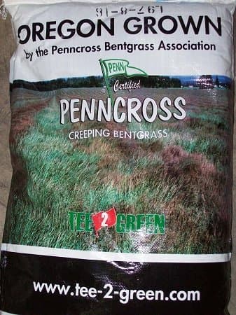 Penncross Creeping Bentgrass Seed