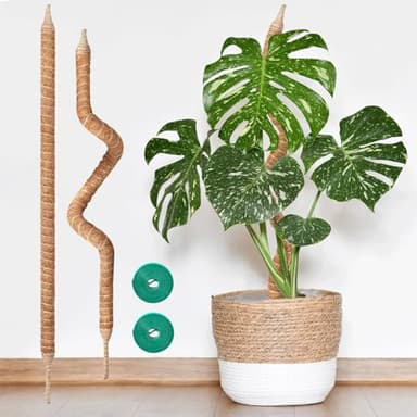 Vanut 2-Pack 28in Bendable & Sturdy Moss Pole for Climbing Plants, Coco Coir Plant Support Stakes for Monstera, Pothos Vines, Philodendron, Fishbone Cactus & Indoor Tropical Houseplants