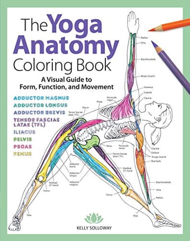 Yoga Anatomy Coloring Book: A Visual Guide to Form, Function, and Movement - An Educational Anatomy Coloring Book for Medical Students, Yoga Enthusiasts, Teachers & Adults (Volume 1)