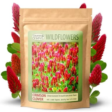 Created By Nature Crimson Clover Seeds, 10,000 Red Annual Wildflower Seeds
