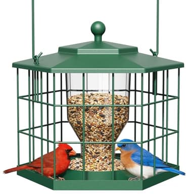 Birdream Squirrel Proof Bird Feeders for Outdoor Hanging, Metal Cage Bird Feeder with Rain Proof Covered for Wildbirds Bluebird Finches, Green
