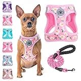 BEAUTYZOO Step in Dog Harness and Leash Set, Floral Pattern Reflective Dog Harness No Pull No Choke Puppy Harness for XXS XS S Dogs Cats, Soft Padded Mesh Vest Harnesses for Girl and Boy Pets