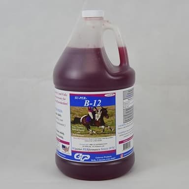 SU-PER B-12 Energy Horse Supplement - Equine Vitamins B-12 & B-9 Folic Acid Support Liquid - Red Blood Cell Production & Stamina Support for Peak Performance - Gallon, 4 Month Supply (120 Days)