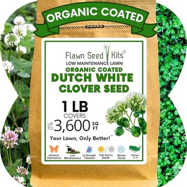 Flawn Seed Kits White Dutch Clover Seed, 1 Lb, Organic Coated, Natural Lawn, Ground Cover, Hunting Food Plot, Covers up to 3,600 Sqft