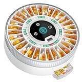 Windtrace Bluetooth Automatic Pill Dispenser for Elderly with Alarm, Smart Pill Dispenser with 31-Slot, Fingerprint& Mechanical Dual Lock Medication Dispenser, Timed Dispenser Machine (Green)