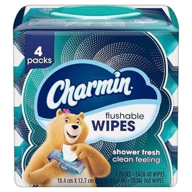 Charmin Flushable Wipes, 160 Total Wipes (4 Packs of 40)