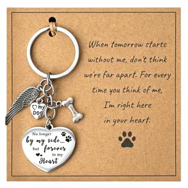 HAMUIERS Pet Memorial Gifts for Dogs, Keepsakes Sympathy Remembrance Keychain, Pet Loss Paw Print Charm Key Ring Remembrances for Dog Passing Away Bereavement Gift – Stainless Steel