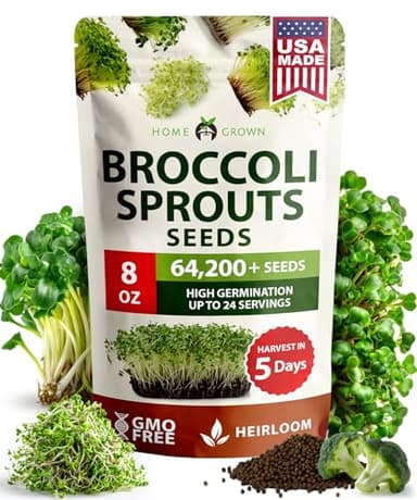 HOME GROWN Broccoli Seeds 8 oz - for Sprouting or Microgreens High Germination Sprout Seeds Nutritious Micro Greens - Broccoli Sprouts in 5 Days - Sulforaphane Rich