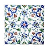 DYARI Decorative Ceramic Tiles – Hand Painted Indoor & Outdoor – Spanish Artisan Top Kitchen – Mediterranean Tiles 6"x6"/One Tile – Durable Colorful (Karaj, Sample)