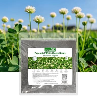 Groundio Perennial White Dutch Clover Seeds for Lawn, 2 lbs, Ground Cover Clover, Nitrocoated and Inoculated Seeds, Attracts Pollinators
