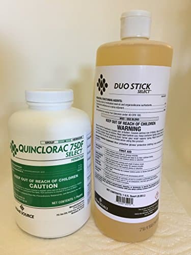 Quinclorac 75 Herbicide - 1 Pound (Drive 75, Quinstar) Plus 1 QT Duo Stick Select MSO Surfactant