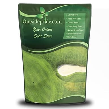 Outsidepride Oasis Bermuda Grass Seed - 5 lbs Warm Season, High Traffic, Heat Resistant, Drought-Tolerant, Low-Maintenance, Fast Growing Turf Grass for Lawn, Ideal for Sunny Areas, Thick Coverage