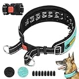 Mayerzon Martingale No Pull Collar for Large Medium Dogs Pitbull German Shepherd Rottweilers, Patented Reflective Anti Pull Dog Walking Collar with Buckle for Training Hiking, Adjustable(XL, Cyan)