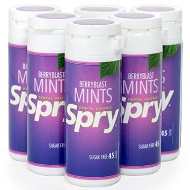 Spry Xylitol Berry Blast Mints Sugar Free Candy - Promote Oral Health, Increase Saliva Production, Stop Bad Breath, Non-GMO, Gluten-Free, 45 Count (Pack of 6)