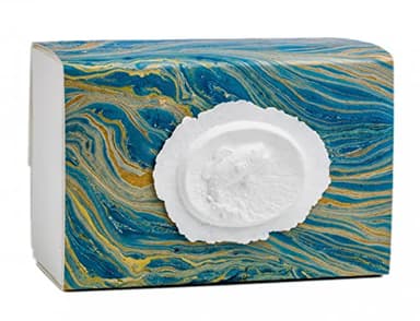 The Favorite Place Biodegradable Burial Urn for Human Ashes (Large Fish Urn), Water Burial, Cremation Box, EcoFriendly (Fish on Blue Ocean Paper) K-105