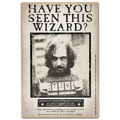Harry Potter Have You Seen This Wizard Sirius Wood Wall Decor - Vintage Harry Potter Wall Art for Bedroom or Movie Room