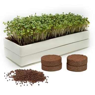 mizuna Microgreens Growing Kit – 2 Stackable White Ceramic Micro Greens Growing Trays (2x5x12 in), Coconut Coir, and Seeds for Stylish Indoor Micro Greens Growing