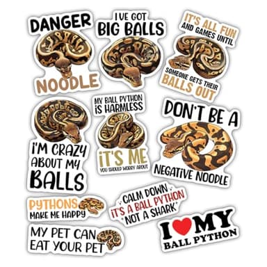 10pcs Ball Python Sticker Sheet, Reptile Vinyl Decals for Ball Python Owners, Herp Enthusiasts, Pet Fans, Waterproof, UV-Resistant, for Laptop, Water Bottle, Terrarium, Journal, Notebook, Phone Case