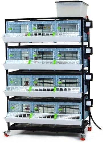 Hatching Time 9.5" Chick Brooders – Stackable or 2-Section Options with Automatic Heating, Modular Design, Easy to Clean, Ideal for Quail, Pheasant, and Baby Chicks (4 Layer)