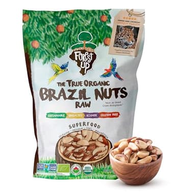 Snack The True Organic Brazil Nuts Medium Size 32 oz-2lbs – Raw and Unsalted – Kosher – Healthy-Rich in Vegetable Protein – Harvested in Amazon Rainforest – Fresh, Vegan and Gluten Free – Forest Up