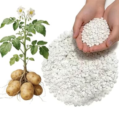 1lb Potash Fertilizer 0-0-60, Sulfate of Potash Indoor Plant Fertilizer, Potassium Fertilizer, Plant Food for Houseplants, Fruit, Flower, Tomato, Promote Large Flower Blooming & Fruit Growth