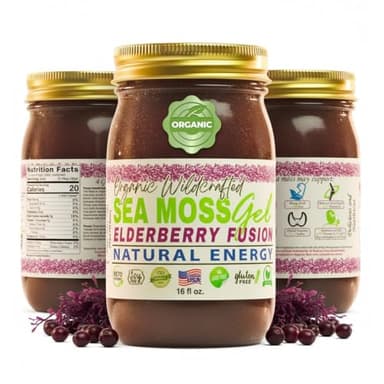 Sea Moss Lyfe Elderberry Fusion Seamoss Gel 16oz – Wildcrafted Irish Sea Moss with Elderberry, Ginger, Cinnamon & Clove – Immunity, Gut, Skin & Energy Support