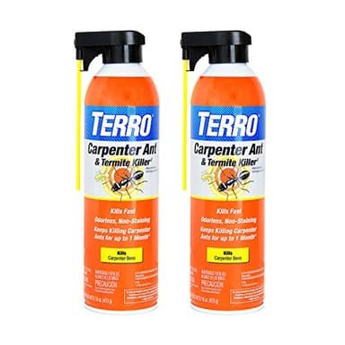 TERRO Ready to Use Indoor and Outdoor Carpenter Ant, Termite, and Carpenter Bee Killer Aerosol Spray - T1901SR - 2 Pack, 32 Total Ounces