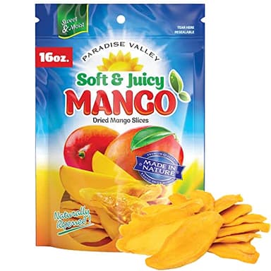 Dried Mango Slices - Delicious Texture Soft & Juicy Low Sugar Added Dried Mango - Naturally Ripened Mangos Dried Fruits - Gluten Free Dry Mangoes Natural Source of Vitamin C, Fiber, 16 oz (16 Single Pack)