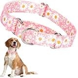 Martingale Collar for Dogs Medium Large, Girl Dog Collars with Adjustable Soft Nylon and Special Pink Daisy Floral Design, Training No Slip Dog Collar (L)