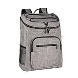 Amazon Basics Soft Insulated Cooler Backpack, 30 Can Capacity, Gray