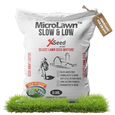 X-Seed Micro-Lawn Slow & Low Grass Seed for Cool Season Lawns, No Mow Natural Areas, Sun to Full Shade, Slow and Low Growing Micro Clover, Creeping Red Fescue, Intermediate Ryegrass, Starter Bag, 5LB