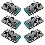 Large Rat Traps, Set of 6, Reusable Pest Control Solutions for Trapping Against Mouse, Chipmunk, and Squirrel. Instant Humane Kill Rodent Snap Trap That Work