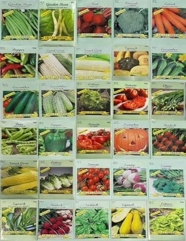 30 Packs of Deluxe Valley Greene Heirloom Vegetable Garden Seeds Non-GMO(Guaranteed 30 Different Varieties as Listed)