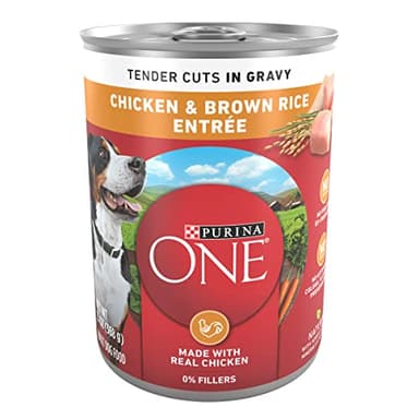 Purina ONE Natural High Protein Dog Food, Tender Cuts in Gravy Chicken and Brown Rice Entrée - 13 Ounce (Pack of 12)