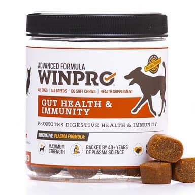 WINPRO Dog Gut Health Supplement – Plasma-Powered Soft Chews for Dog Immune Health Support & Gut Health, Made with Natural Ingredients for Dogs of All Breeds & Sizes - 60 Count