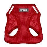 Best Pet Supplies Voyager Step-in Air Dog Harness - All Weather Mesh, Reflective, No Pull Harness for Small, Medium Dogs, Cats - Secure with Hook & Loop Fastener, Buckle, Double D-Rings - Red, S