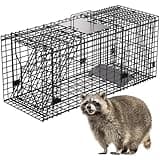 VASALAID Live Animal Trap Cage, 32" X 12" X 12.5" Catch and Release, Humane Live Trap Cage Indoor and Outdoor Foldable Live Trap for Raccoons,Groundhogs, Stray Cats,Squirrels, Rabbits, woodchucks