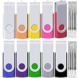 512MB USB Flash Drive 10 Pack, FEWIINA Small Capacity USB Drives Bulk of 10, Multipack Memory Stick, Jump Drive, Zip Drive Pen Drive for Small Data Storage for Embroidery Machine -with 10 Lanyards
