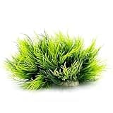 Smoothedo-Pets Aquarium Plants Fish Tank Decorations 2pcs Small Size/3.5inch Ornament Plastic Artificial Plant Goldfish Waterscape Fish Hides Mini Grass Set (2pcs/Green)