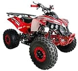 HHH 125cc ATV Vitacci ATV Quad Youth Adult ATV 125cc ATV Fully Automatic with Reverse Gas Vitacci ATV 4 Wheeler Outlander ATV Quads Big 19/18 inch Tires (Red)