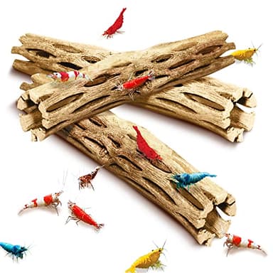 SunGrow Cholla Wood, 6” Climbing Logs, Chew Toy, Aquarium Fish, Snail, and Shrimp Driftwood, Tropical Freshwater Fish Décor, Adds Raw Beauty, 3 Pack