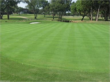 Penncross Bentgrass Seed - 5 Lbs.