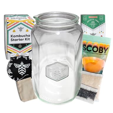 Craft A Brew Home Brewing Starter Kit Kombucha Tea Kit – Home Kombucha Kit – Fermentation Starter with Kombucha SCOBY – 1 Gallon