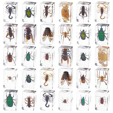 PUGPAW 30 PCS Insect in Resin Specimen Bugs Collection Paperweights, Various Taxidermy Bugs Insect Preserved in Resin for Kids Scientific Educational Display Supplies