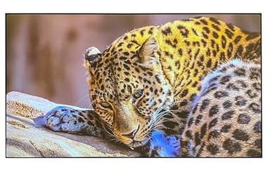 ALR Screen for UST Projector, 120 inch ALR Fixed Frame Projector Screen Wall Mount 16:9 8K/4K 3D, Grey Projection Screen, 0.39 inch Ultra-Narrow Bezel for Movies and Games